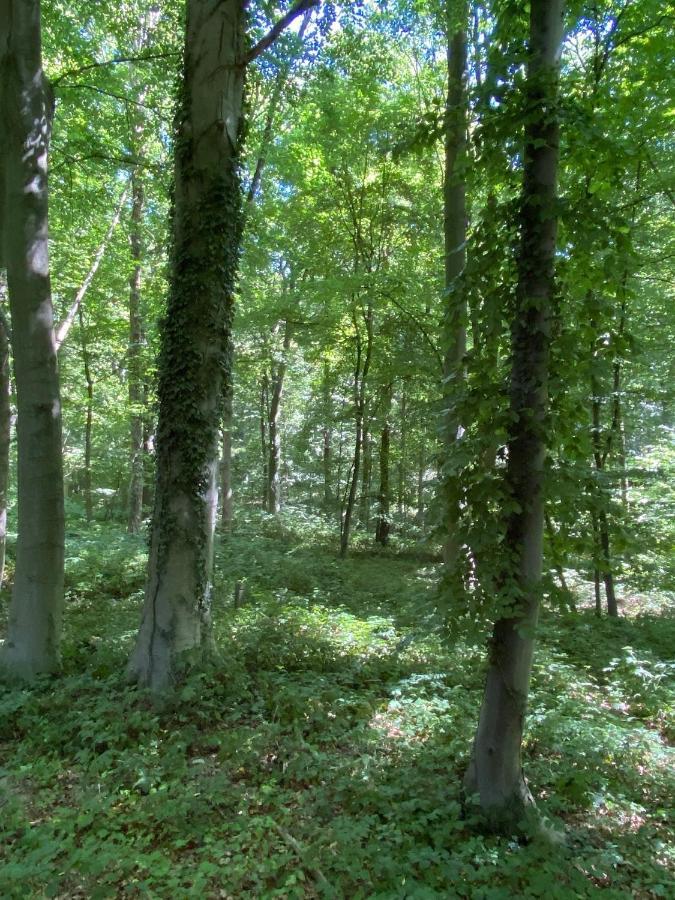 Le Dome De Namur - Une Nuit Insolite Dans Les Bois Exterior photo