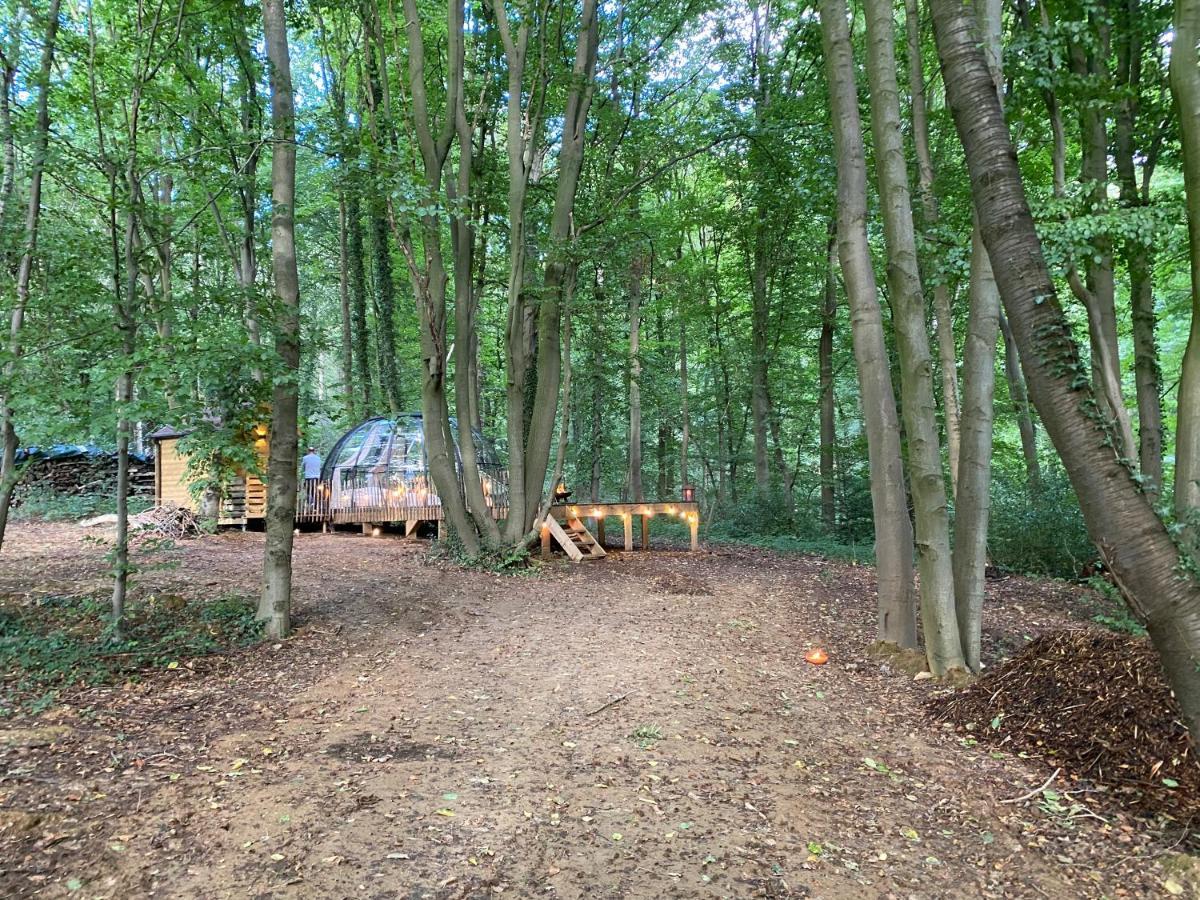 Le Dome De Namur - Une Nuit Insolite Dans Les Bois Exterior photo