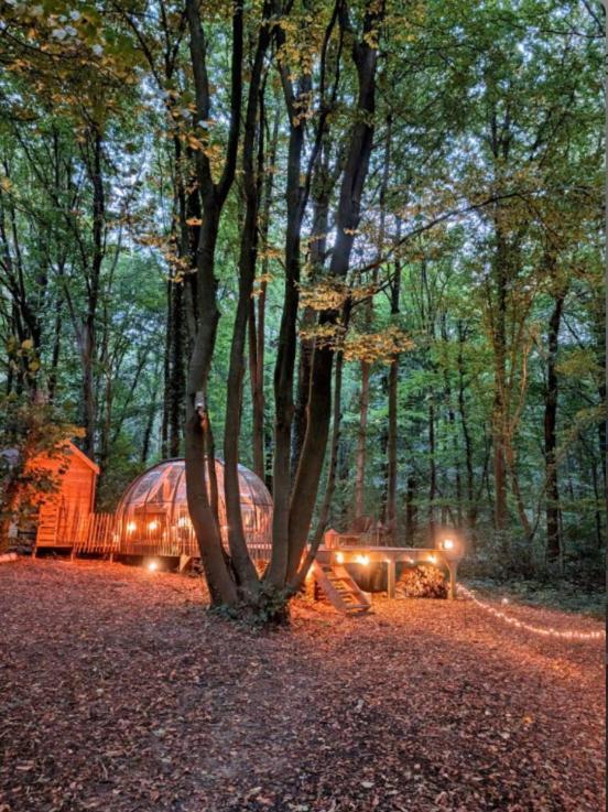 Le Dome De Namur - Une Nuit Insolite Dans Les Bois Exterior photo